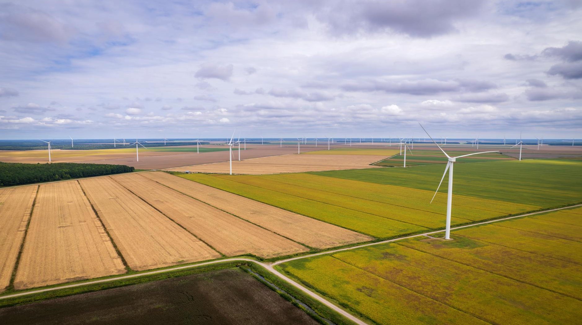 Kto i dlaczego za tym stoi?